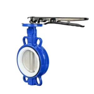 Lever Worm Gear Operated Butterfly Valve Ductile Iron Stainless Steel Soft-Seated Butterfly Valve