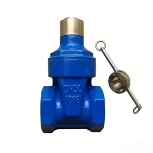 Lockable Gate Valve Threaded Resilient Seated Gate Valve for Water Supply DN15-DN100 Manual Locking Valve