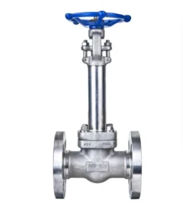 Low-temperature Globe Valve Stainless Steel Low-temperature Globe Valve Customized Low-temperature Globe Valve