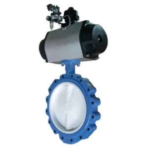 Lug Type Butterfly Valve High Performance DI SS304 CI Body PTFE EPDM Seal PN10 PN16 ANSI BS DIN Standard for Water Treatment
