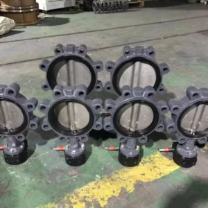 Lug Type Marine Butterfly Valve F7480