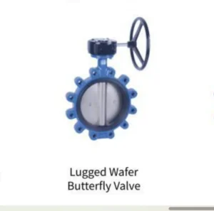 Lugged Water Butterfly Valve