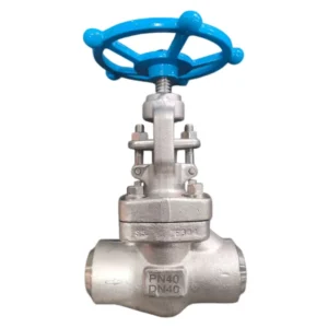 Manual 1/2 in – 2 in 304SS Disc & Bonnet Stop Butt Welding Globe Valve with Handwheel for Water Oil Gas