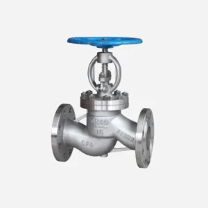 Manual 304 Stainless Steel Globe Valve for Metallurgy Application with Handwheel DN15-DN50