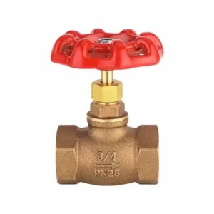Manual Brass Gate Valve PN10 PN16 Thread End Low Pressure Water Valve GB Standard for Domestic Plumbing Fire Pipeline