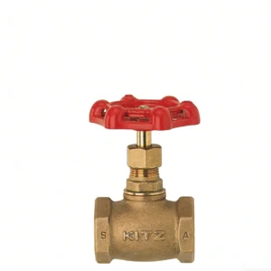 Manual Bronze Globe Valves Water Gas Oil Control Screwed Bonnet Ends Model a OEM Customizable