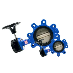 Manual Butterfly Valve Ductile Iron Two Way Soft Seal Stainless Steel Disc Butterfly Valve