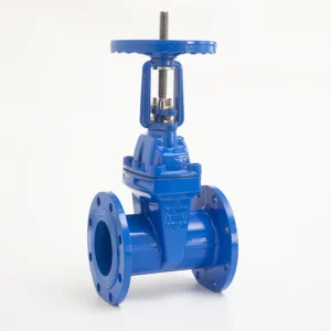 Manual Cast Iron Water Soft Seal Double Flanged Resilient Seat Gate Valve Price