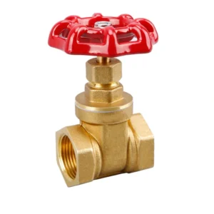 Manual Control Brass Threaded Thickened Forged Globe Valve Hard Sealed Version Various Models 3/4 Port Size