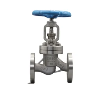 Manual Control Stainless Steel Flanged Globe Valve OEM