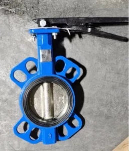 Manual Ductile Iron Butterfly Valve for Water Applications DN25 DN1200 Port Size 1 Year Warranty