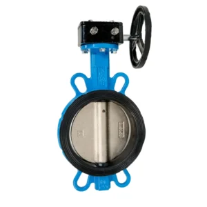 Manual Ductile Iron Flange 4 Inch Worm Gear Wafer Butterfly Valve for Sea Water