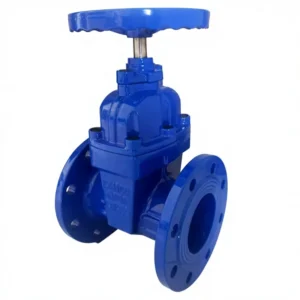 Manual Ductile Iron Gate Valves DN50-DN600 Elastic Seat Seals for Water Supply Systems