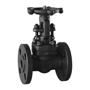 Manual Operation A105 Forged Steel Flange Gate Valve 150LB/300LB High Pressure ANSI Standard Oil Medium