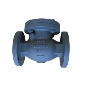 Manual Power MSS Class 125 Cast Iron Swing Check Valve for Water Gas Oil