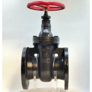 Manual Pressure-Rated Copper Core Ductile Iron Gate Valve for Water in Heating Networks 2in-8in Port Size Medium Temperature