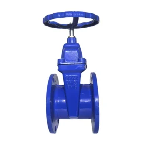 Manual Rubber Non Rising Stem Soft Seals Gate Valve ANSI Ductile Iron Flanged Gate Valve for General