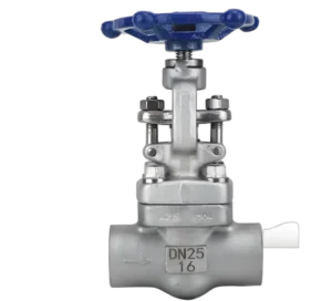 Manual Sleeve Welding Threaded Joint NPT 800LB Forged Steel Globe High Temperature Oil and Gas Shut-off Valve F304