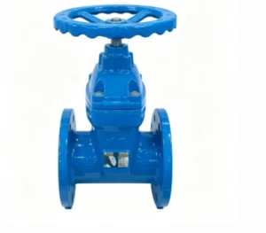 Manual Soft Seal Flanged Gate Valve 2-4inch