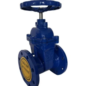 Manual Soft Seal Gate Valve Handwheel Non Lifting Gate Valve Z45X Model