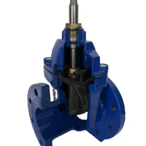 Manual Soft Seal Non Lift Gate Valve for Tap Water Concealed Stem Gate Valve Z45X Outlet