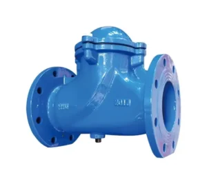 Manual Spring Swing Flap Check Valve Ball Type Duckbill EPDM Sealing DIN Water Media DN50 DN1200 Low Temperature