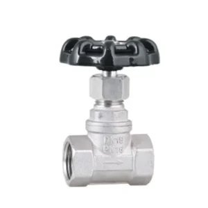 Manual Stainless Steel Globe Valve for Water Supply