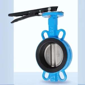 Manual Stainless Steel Wafer Butterfly Duckbill Anti Return Valve for Water PN6-PN16 DN32-DN200