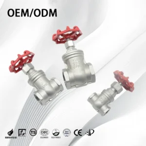 Manual Threaded Stainless Steel Gate Valve for Water Valve and Gas Valve with Pressure Control