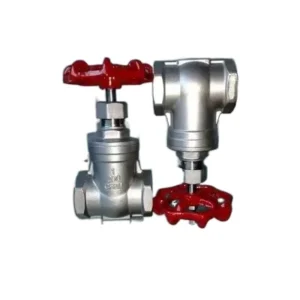 Manual Threaded Stainless Steel Gate Valve for Water and Gas Application Water Pressure Regulator Valve