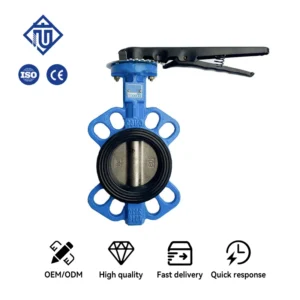 Manual Wafer Butterfly Valve DN50 Ductile Iron EPDM Seat 2303 Disc Water Control Valve