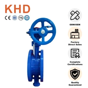 Manual Worm Gear Rigidity Seal Butterfly Valve Wcb Water Media Flange Butterfly Valve