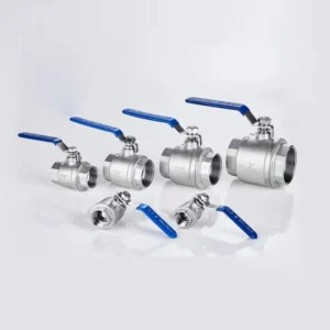 Manufacturer Stainless Steel Custom Sanitary Thread Double Disc Forged Ball Valve