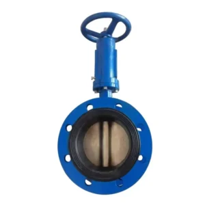 Manufacturer Supplies Flanged Marine Spiral Butterfly Valve Cast Steel Manual Butterfly Valve