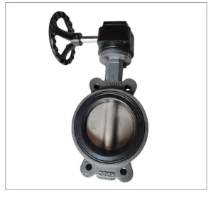 Marine Butterfly Valve Simi Lug Type F7480ST