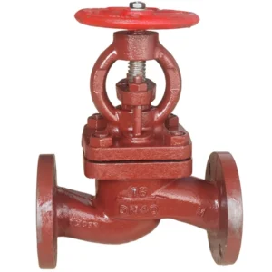 Marine Cast Lron Globe and Angle Check Valve GBT590 GBT591 Stainless Steel Sealing High Temperature Steam Shut off Valve