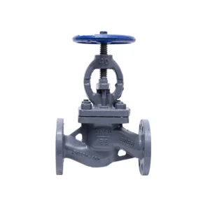 Marine Cast Steel Globe and Angle Check Valve GBT584 GBT585 Stainless Steel Sealing High Temperature Steam Shut-off Valve