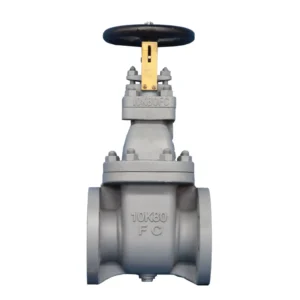 Marine JIS Cast Iron Gate Valve F7363 F7364 F7369