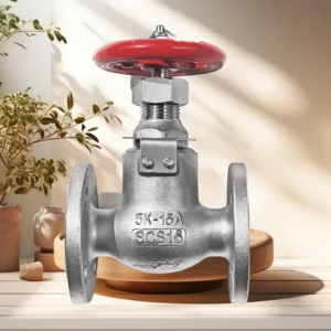 Marine JIS Valves Ductile Iron Cast Steel Stainless Steel 316 Bronze & Brass Globe Valves F7321 F7323 Flanged