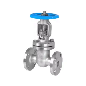 Normal Pressure Good Quality Flange Type Thread Typr Class Certification PN16 25 Stainless Steel Gate Valve