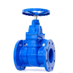 ODM OEM Gate Valve Flange Concealed Stem Gate Valve Operated for Water Gas Oil High Temperature Media