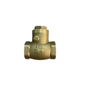 OEM CW617N Horizontal Swing Check Valve Brass Spring Valve Brass Flap One Way Valve Water Customized ISO Hydraulic General