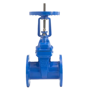 OEM China Factory Custom Manual Soft-Sealed Rising Stem Gate Valve for Water Oil Gas