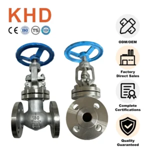 OEM Custom 316L Stainless Steel Manual Flange Globe Shutoff Valve DN25 American Standard Globe Shutoff Valve