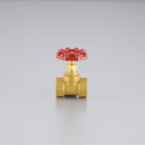 OEM Customized Manual Brass Globe Gate Valve with Soft Seal for Water Supply