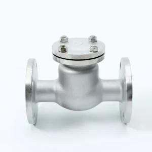 OEM Factory Flanged PN16 CF8 CF8M Stainless Steel Swing Check Valve 2 3 Inch DN50 DN80 DN100 Industrial Water Non Return Valve