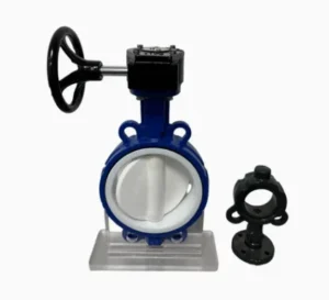 OEM Lined Fluoroplastic Manual Flange Butterfly Valve (with Matching Accessories)