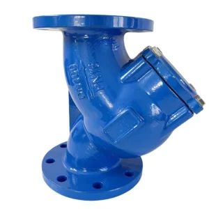 OEM ODM Customized High Precision Industrial Durable Y Strainer for Water