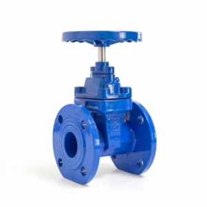 OEM ODM DN50 Ductile Iron Flanged Non Rising Stem Soft Seal Gate Valve For Water