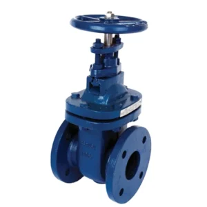 PN 16 Industrial Gate Valve From Factory Source BS5163 Cast Iron Ductile Iron with Rubber Seal Flange
